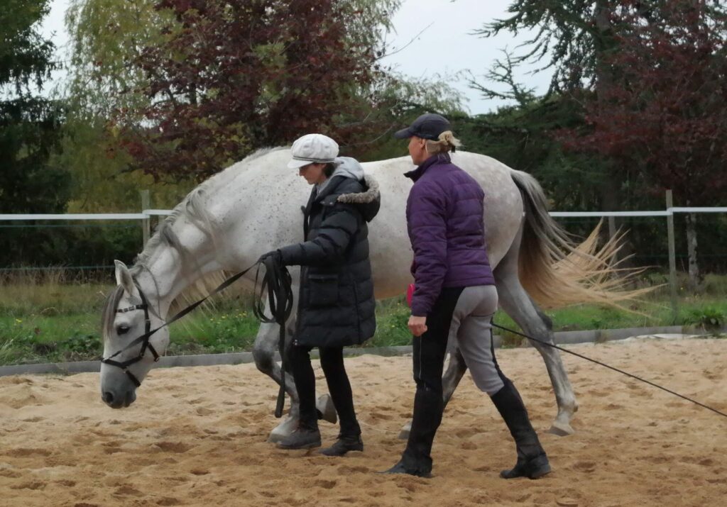 Holistic Horsemanship Clinics