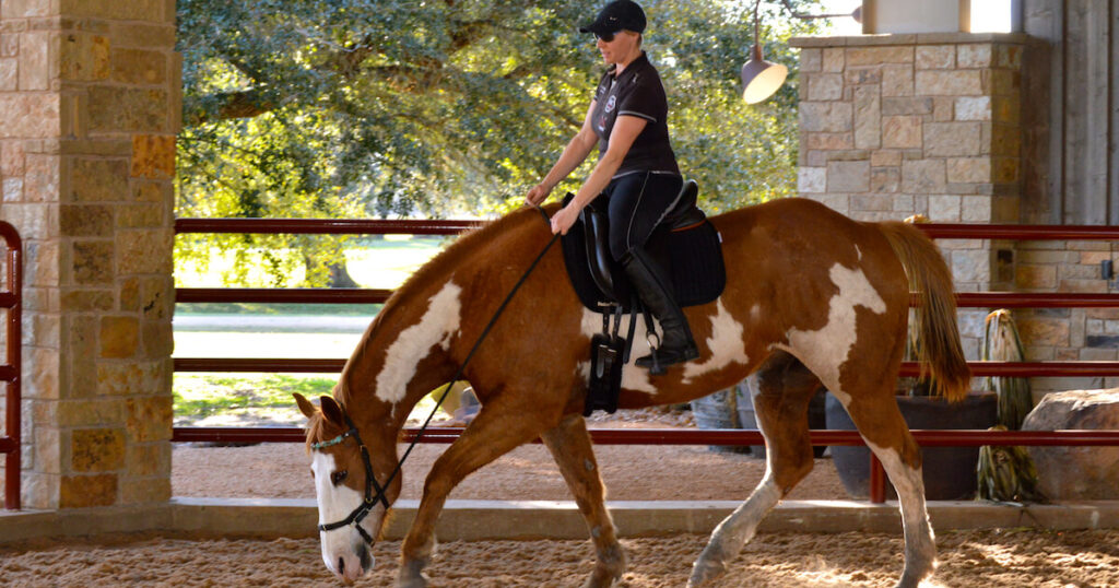 Holistic Horsemanship Clinics