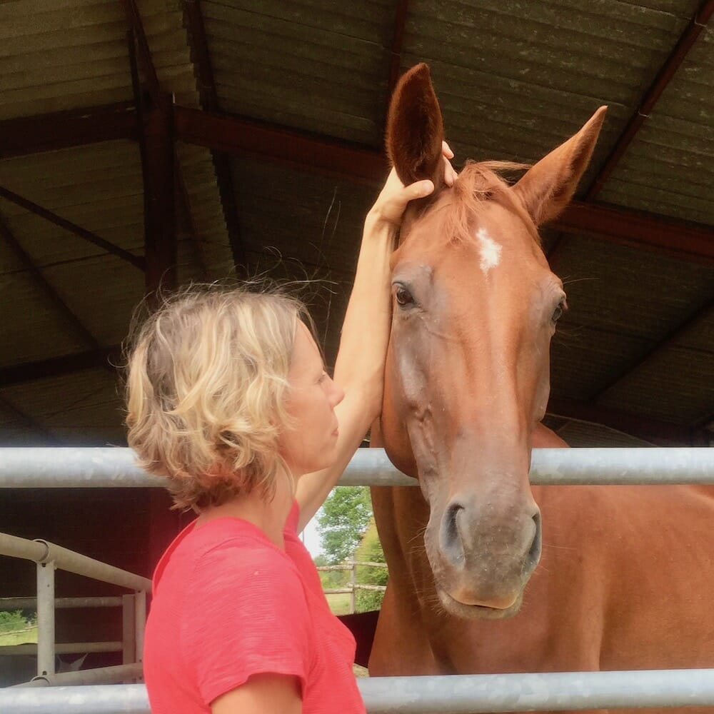 Happy Horse Happy Human