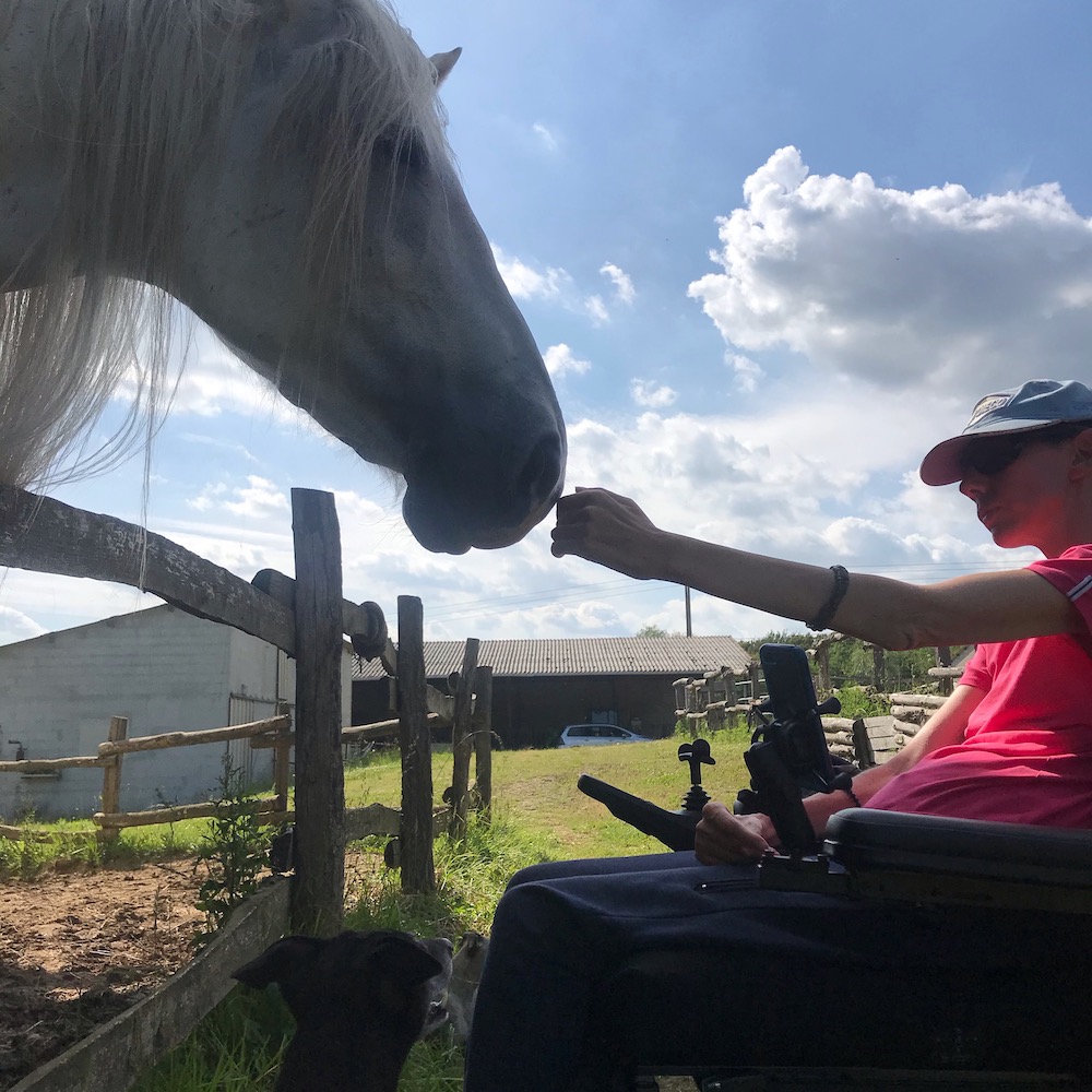 Equine Therapy 