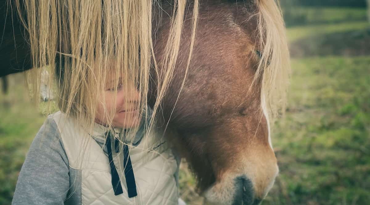 happy horse happy human